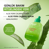 EQQUALBERRY Aloe PDRN Calming Serum EQQUALBERRY Aloe PDRN Calming Serum-04.png