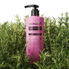 MEDICUBE ROSEMARY PDRN COOLING THICKENING SHAMPOO 400ml